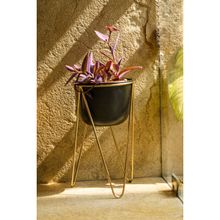 The Pitara Project Planter Black Matte With Gold Tripod