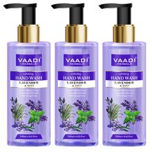 Vaadi Herbals Calming Lavender & Mint Hand Wash - Deep Moisutirizing - Pack of 3(250 ml x 3)