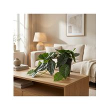 HomeTown Ilana Hanging Green Artificial Alocasia Plant