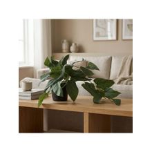 HomeTown Ilana Hanging Green Artificial Philodendron Plant