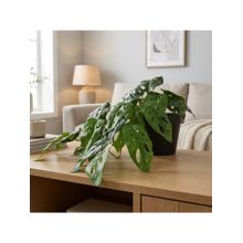 HomeTown Ilana Hanging Green Artificial Small Monstera Plant