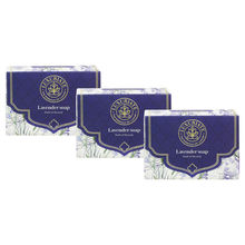 Luxuriate Lavender Handmade Soap - Pack of 3