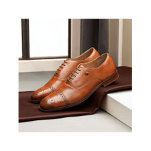 Arrow Men Vertex Tan Oxfords