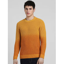Jack & Jones Men Ombre Yellow Sweater