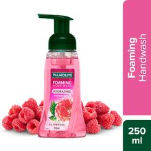 Palmolive Hydrating Foaming Raspberry Hand Wash, Removes 99.9% Germs