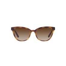 Vogue Eyewear Women Gradient Brown Lens Cat Eye Sunglasses - 0VO5496SIW6561354