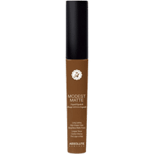 Absolute New York Modest Matte Liquid Lipstick, Satin Lip MML10-Satin Lip Mml10
