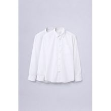 KINGDOM OF WHITE Pristine Regular Fit White Shirt (Pack of 2)
