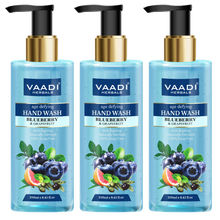 Vaadi Herbals Age Defying Blueberry & Grapefruit Hand Wash - Pack of 3
