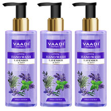 Vaadi Herbals Calming Lavender & Mint Hand Wash - Deep Moisutirizing - Pack of 3(250 ml x 3)