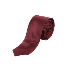 Alvaro Castagnino Mens 100 Percent W.Silk Necktie