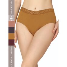 Curvy Love Organic Cotton Everyday V- Shape Multi-Color Panties (Pack of 4)