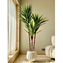 Mason Home Artificial Yucca Tree (6 Feet)