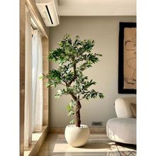 Mason Home Artificial 6.5 Feet Twisted Ficus Plant