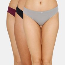Zivame Low Rise Full Coverage Bikini Panty (Pack Of 3) - Assorted - Multi-Color
