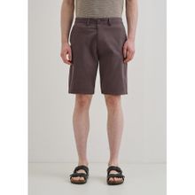 Banana Club Auburn Brown Shorts