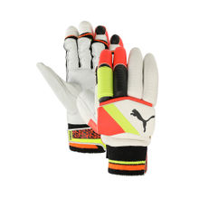 Puma Future 1.2 Men's Multi-Color Cricket Batting Gloves