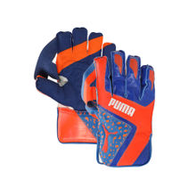 Puma Future 1 Men's Blue Cricket Wicket Keeping Gloves