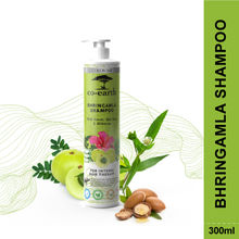 Colorbar Co-Earth Bhringamla Shampoo