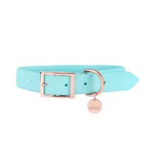 Heads Up For Tails Pastel Pawprint Rain Friendly Dog Collar - Green