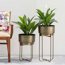 The Decor Remedy Gingko Leaf Antique Gold Planters Set Of 2