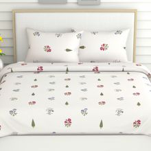 Haus & Kinder Floral Motifs 186 Tc 100 % Cotton Double Bedsheet-Multi