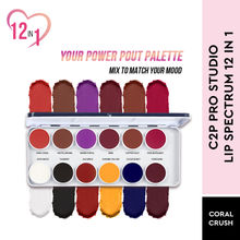 C2P Pro Studio Lip Spectrum 12 Color Cream Lipstick Palette