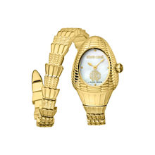 Roberto Cavalli by Frank Muller By Frank Muller RC-149 Women RV1L149M0021-Watches