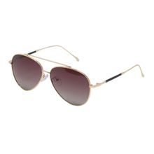 Enrico Gold Polycarbonate Aviator Lurid Unisex Sunglasses