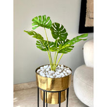 Mason Home Artificial Monstera Plant