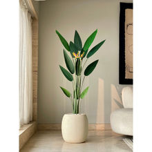 Mason Home Artificial Strelitzia Plant - 5 Feet