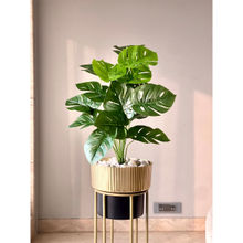 Mason Home Artificial Botanic Monstera Plant- 2 Feet