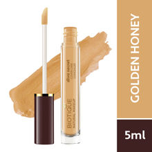 Biotique Diva Secret Cover Care Concealer