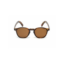 Mespee Tortoise Square Full Plastic Sunglasses (ZN3530-C2) (49)