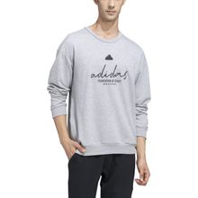 adidas Bl Ft Crw Q3 Grey Sweatshirt