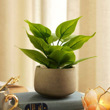 Pure Home + Living Green Artificial Plant with Pot