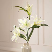 Pure Home + Living Lily Ivory Stem