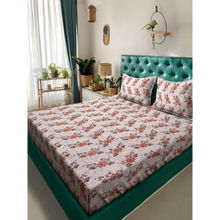 ACKROSS Blossom Royale Clon 144Tc Bedsheet with 2 Pillow Covers Light Brown N Cream (Queen)
