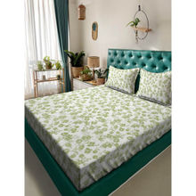 ACKROSS Fusion Collection 104Tc Bedsheet with 2 Pillow Covers Green (Queen)