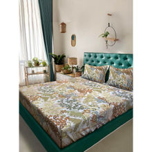 ACKROSS Fusion Collection 104Tc Bedsheet with 2 Pillow Covers Multi-Color (Queen)