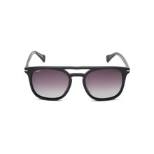IMAGE Black S650 C1P 51 Square Frame Style Sunglasses_IMS650C1PSG