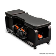 Flexnest The Flexbench Pro Incline & Flat 180 Kg Capacity Fitness Gym Bench with Storage Compartment