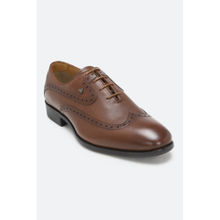 Peter England Men Tan Lace Up Brogue Shoes