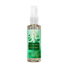 Bath & Body Works Eucalyptus & Spearmint Cleansing Hand Spray