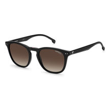 Carrera Sunglasses Brown Shaded Lens Pantos Sunglass Black Frame