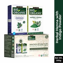 Indus Valley Bio Organic Indigo Powder & Henna Powder Combo 100% Natural for Black Hair Colour