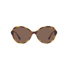 Vogue Eyewear Women Brown Butterfly Sunglasses