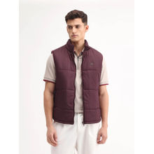 Rare Rabbit Maroon Polyester Sleeveless High Neck Puffer Jacket