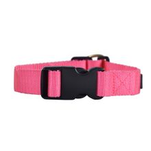 Heads Up For Tails Classic Nylon Dog Collar - Pink