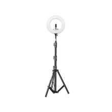 Digitek (DRL-18H C) Professional 18" inch LED Ring Light with Stand Compatible with Phones & Camera